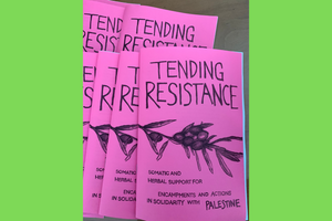 a bright pink zine with the title "Tending Resistance" and an image of an olive branch with a bright green background