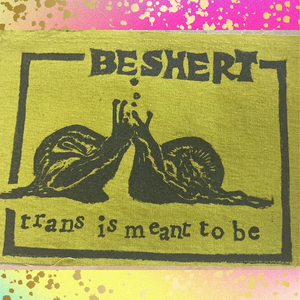 BESHERT trans is meant to be Fabric Patch