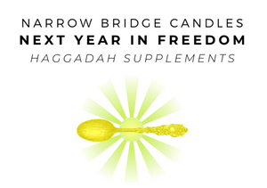 Next Year in Freedom Disability Justice themed Haggadah Supplements - Printed Version with Golden Spoon