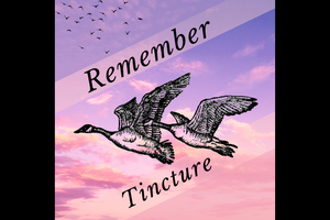 drawing of geese flying across a sunset sky with the words "Remember Tincture